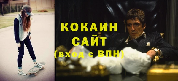 ешки Алексин