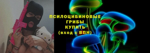 ешки Алексин
