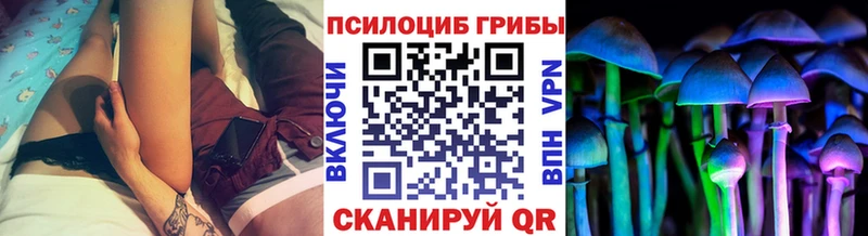 Псилоцибиновые грибы MAGIC MUSHROOMS  Хвалынск 